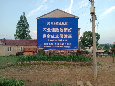  孟州墙体广告为何受追捧？